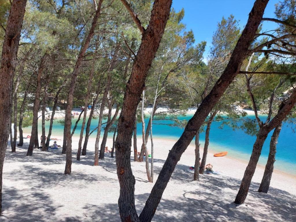 Luxury Mobile Home Pretty Green - Premium - Oaza Mira Resort -50 M From The Beach Drage Exterior foto